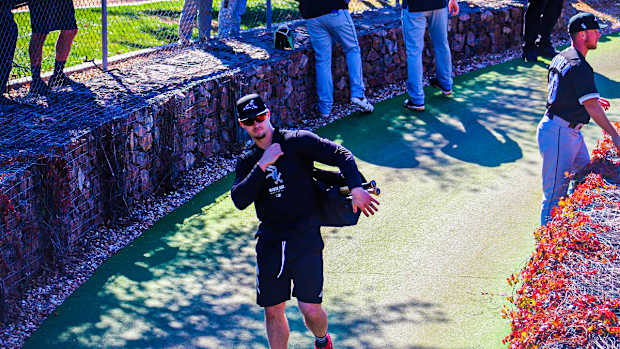 Adam Engel(1)